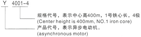 西安泰富西玛Y系列(H355-1000)高压YJTG-280S-6A/45KW三相异步电机型号说明